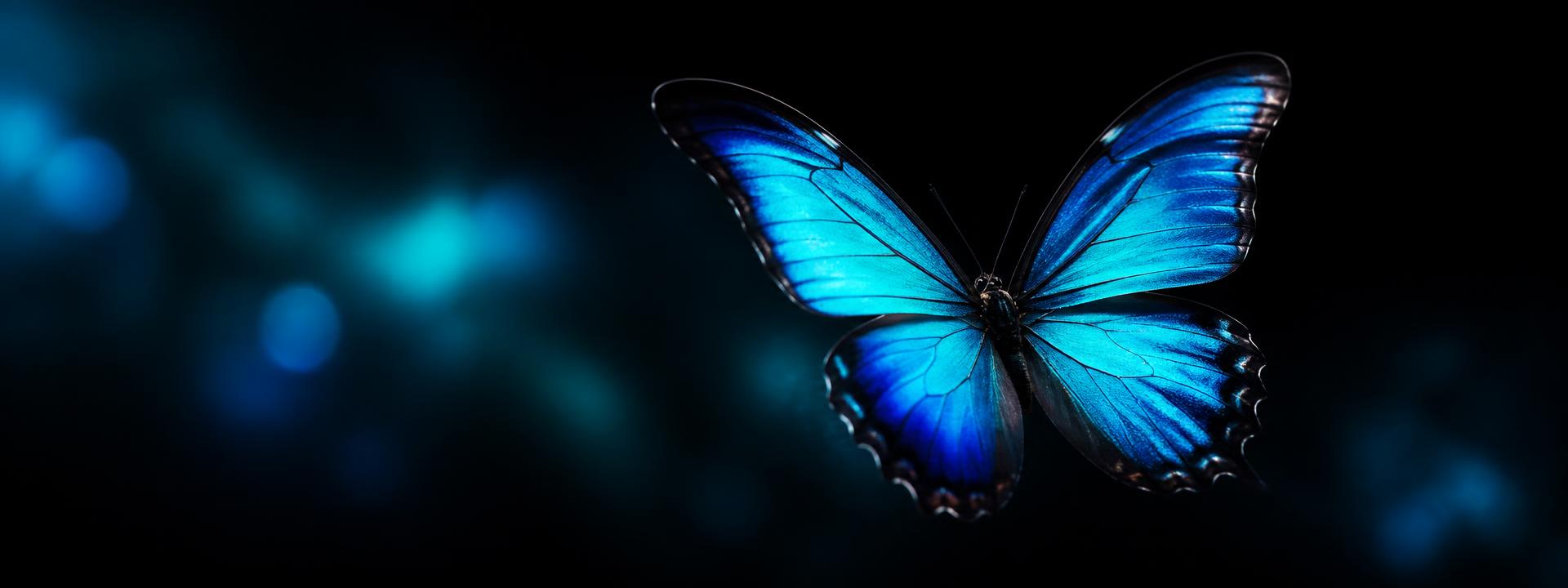 A vivid blue butterfly in flight