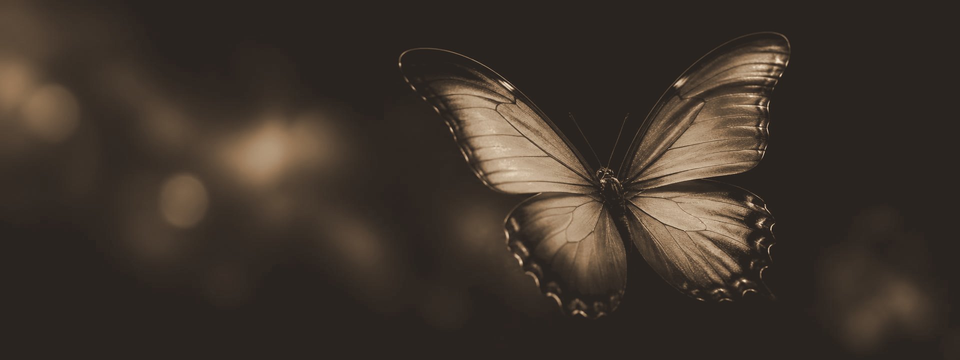 A bronze-toned butterfly in flight